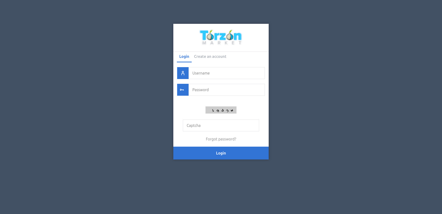 TorZon User Login Interface